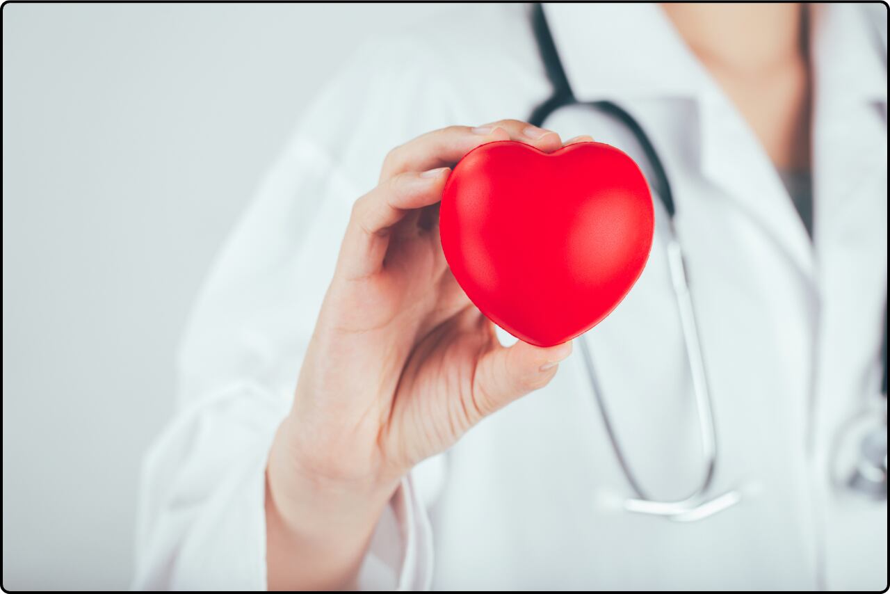 Medical doctor showcasing a heart model to promote heart health awareness.